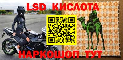 mdpv Кудрово