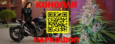 mdpv Кудрово