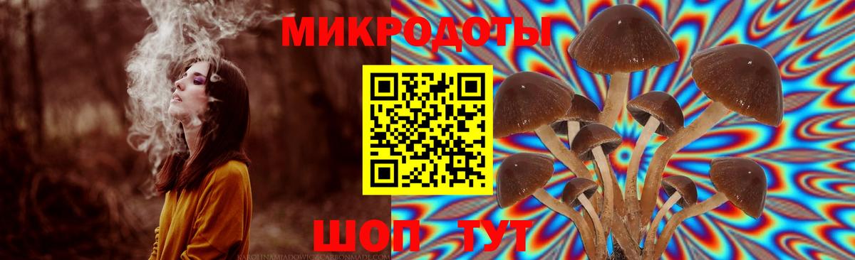 хочу   Псилоцибиновые грибы MAGIC MUSHROOMS  Вход с VPN  Воткинск 